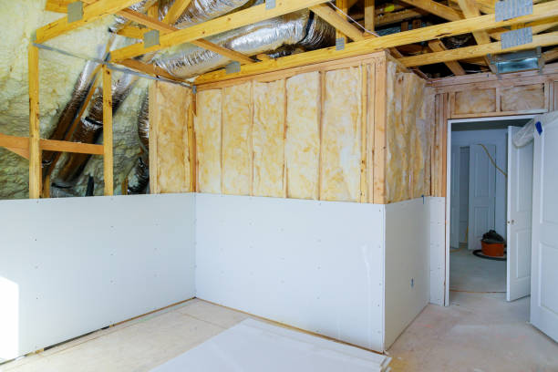 Best Insulation Removal Services  in Burnham, PA