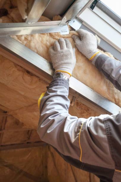 Best Local Insulation Services  in Burnham, PA