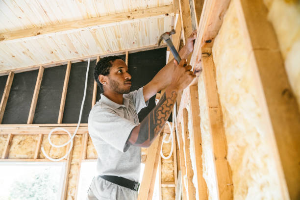 Best Insulation Removal  in Burnham, PA